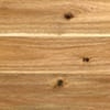 Acacia